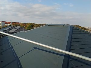 IMG_20181107_141537.jpg
