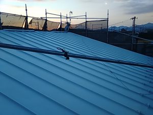 IMG_20181108_163135.jpg