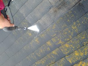 IMG_20181112_112113.jpg
