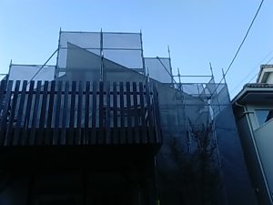 IMG_20190111_164705.jpg