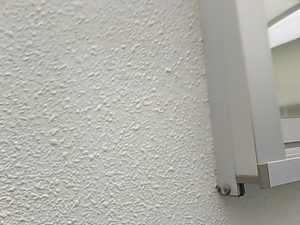 IMG_20190112_085954.jpg