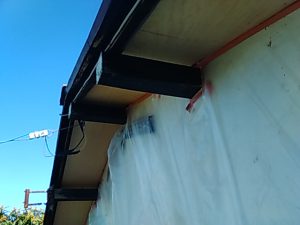 IMG_20190121_094726.jpg