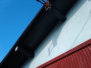 IMG_20190121_132104.jpg