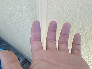IMG_20190123_140228.jpg