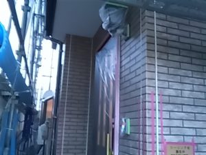 IMG_20190124_170547_2.jpg
