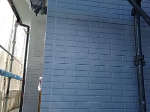 IMG_20190126_115009.jpg