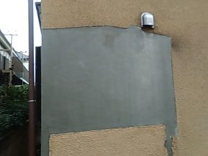 IMG_20190301_084955.jpg