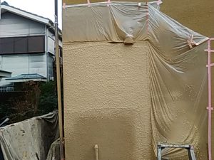 IMG_20190301_141655.jpg