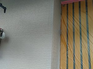 IMG_20190619_164848.jpg