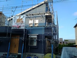 IMG_20190625_174323.jpg
