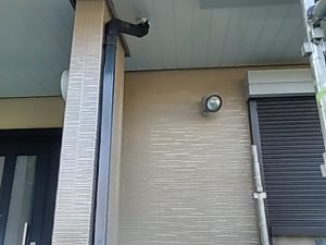 IMG_20190625_175209.jpg