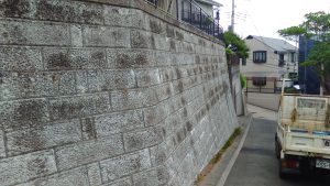 KIMG0534.JPG